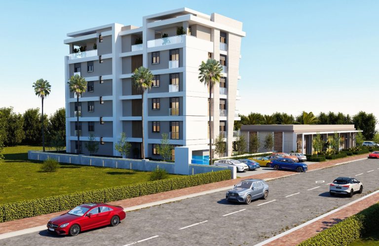 WhatsApp Image 2025-03-18 at 15.27.06